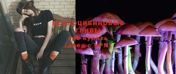 индика Алексин