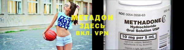индика Алексин
