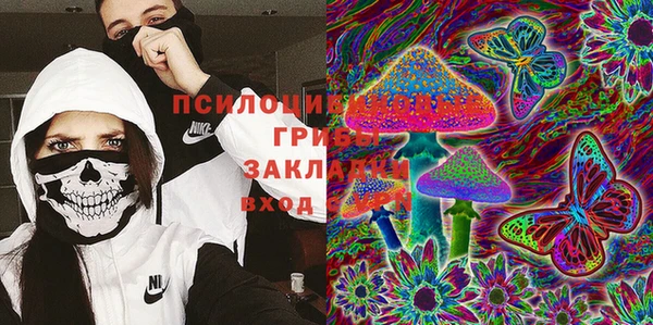 индика Алексин