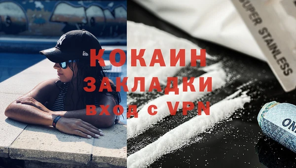 индика Алексин